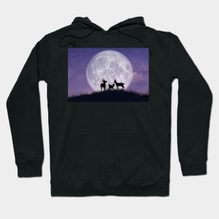 Deer Family on a Moonlit Night Hoodie